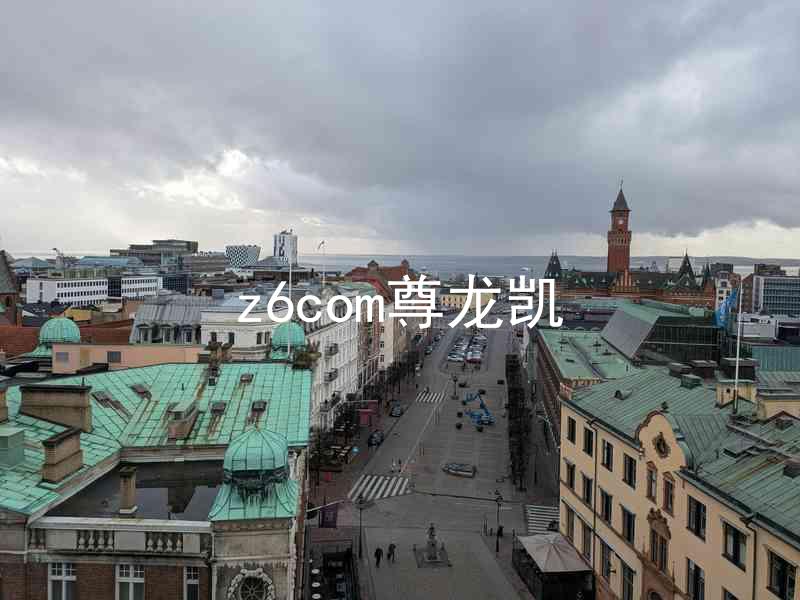 z6com尊龙凯