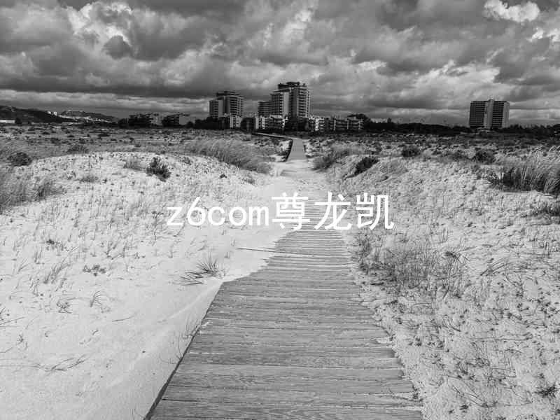 z6com尊龙凯