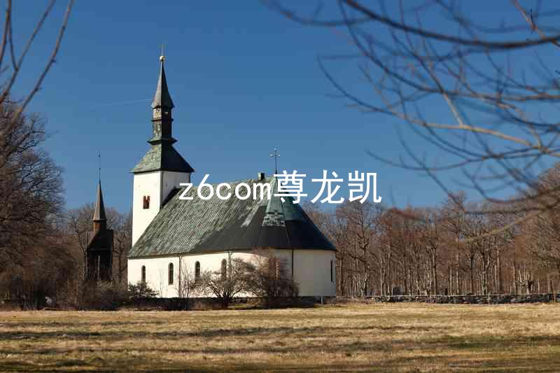 z6com尊龙凯