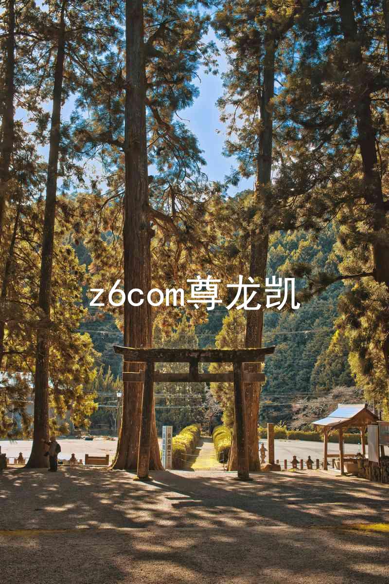 z6com尊龙凯